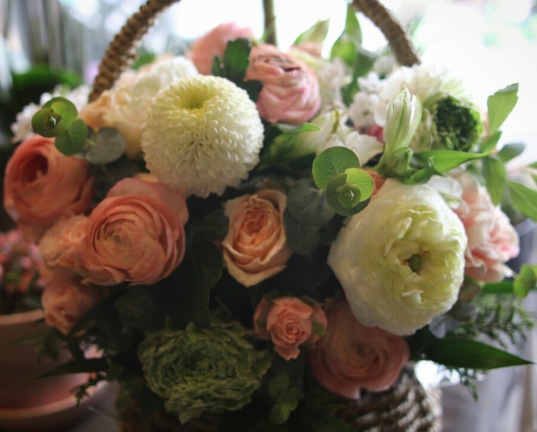 Flower늘봄 이미지