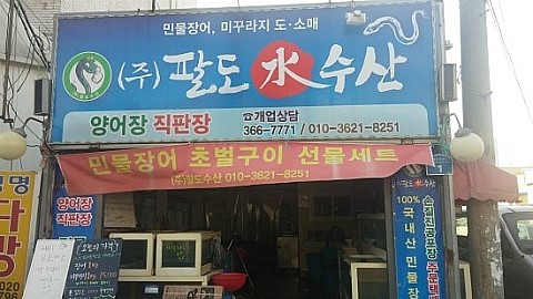 팔도민물장어 이미지