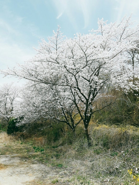 조은주유소 이미지