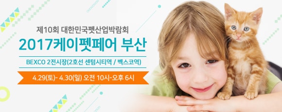 엔젤케이 이미지