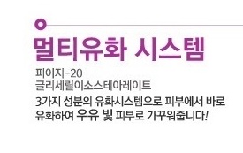 이든시스템 이미지