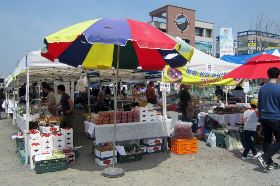 순이네토굴새우젓 이미지