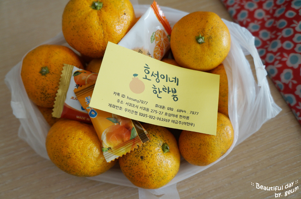 호성이네한라봉 이미지