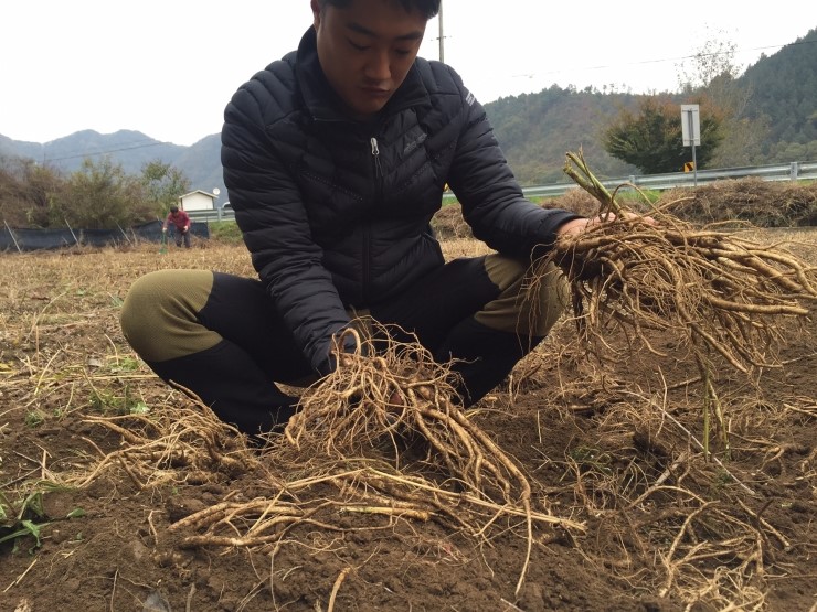 산마을영농조합법인 이미지