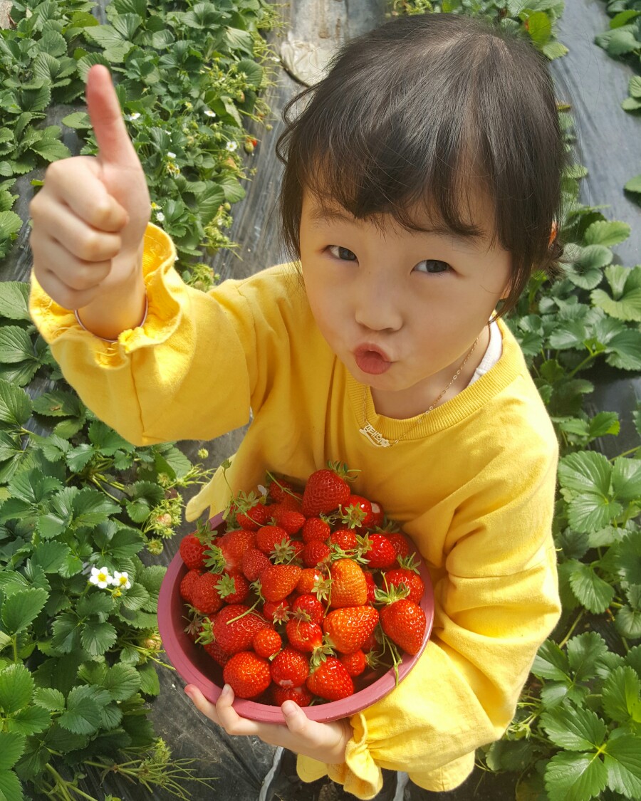 홍군농장 이미지