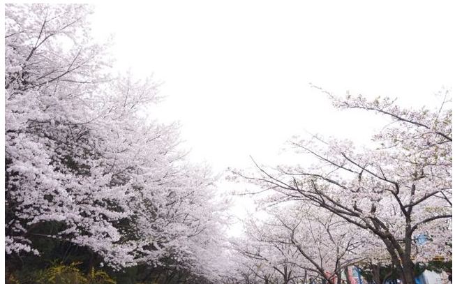 (주)성원물류 이미지