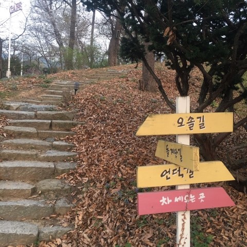 낙엽커피숍 이미지