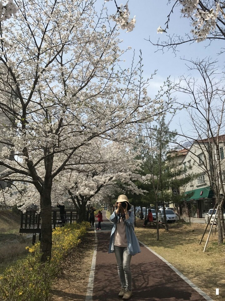행복한꽃차카페 이미지