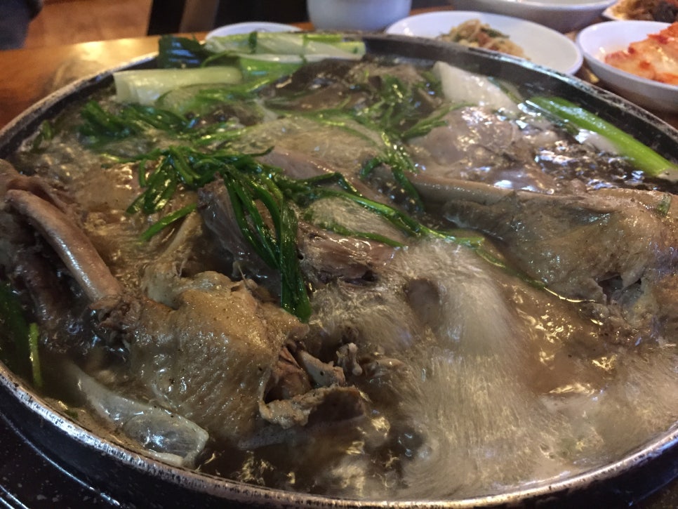 시골오리 이미지