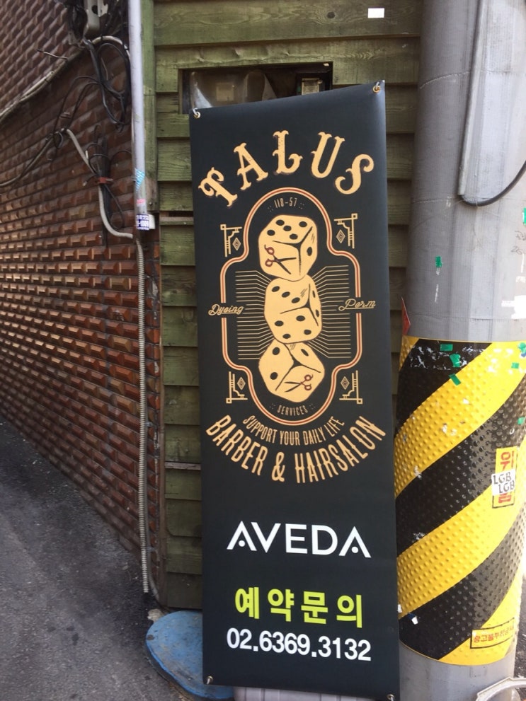 딸루스 이미지