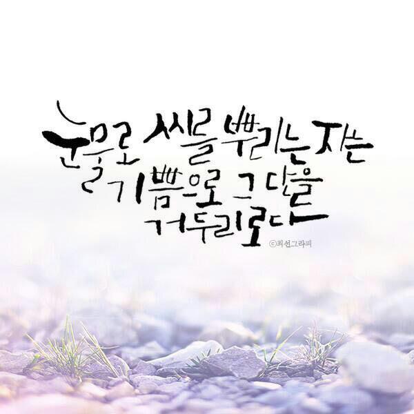청양친환경블루베리농장 이미지
