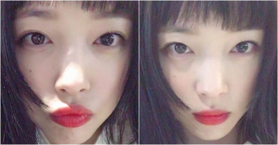 데이민 이미지