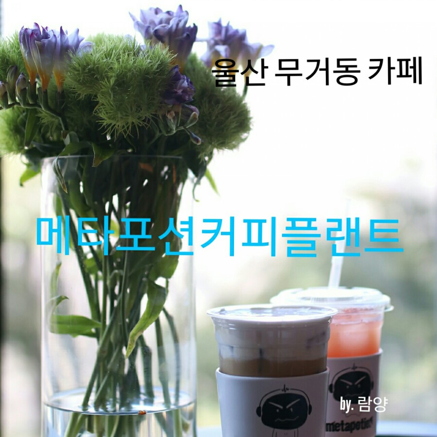 메타포션 이미지