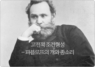 현성상사 이미지