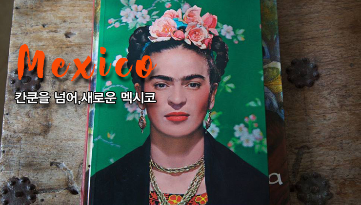 바인트래블 이미지