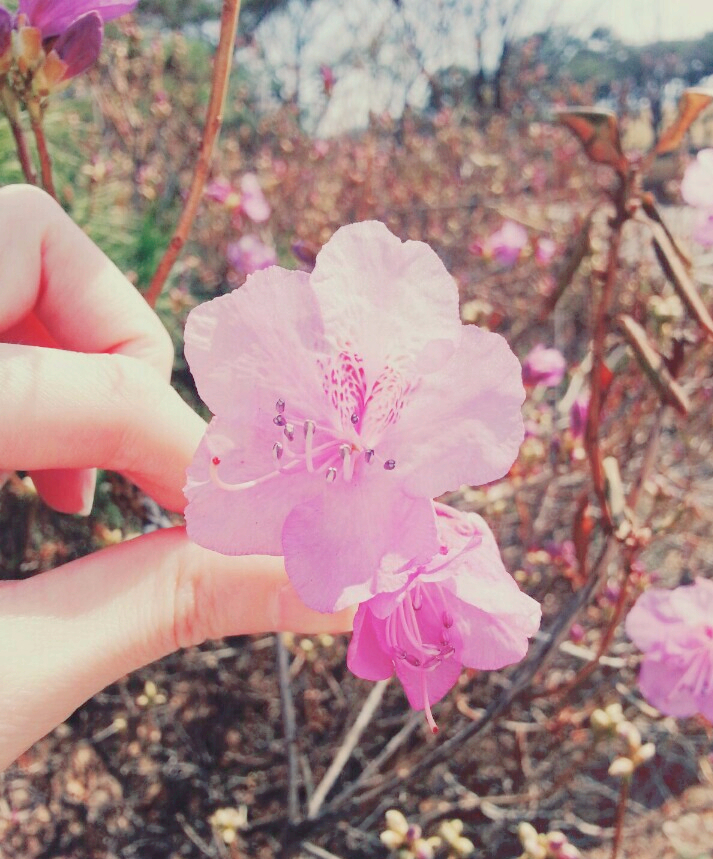문산슈퍼 이미지