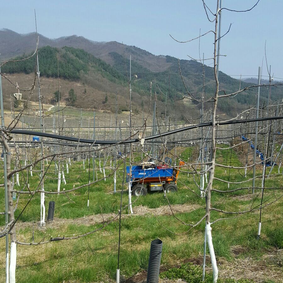 청송촌놈 이미지