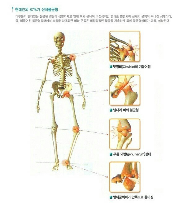 프리덤휘트니스 이미지