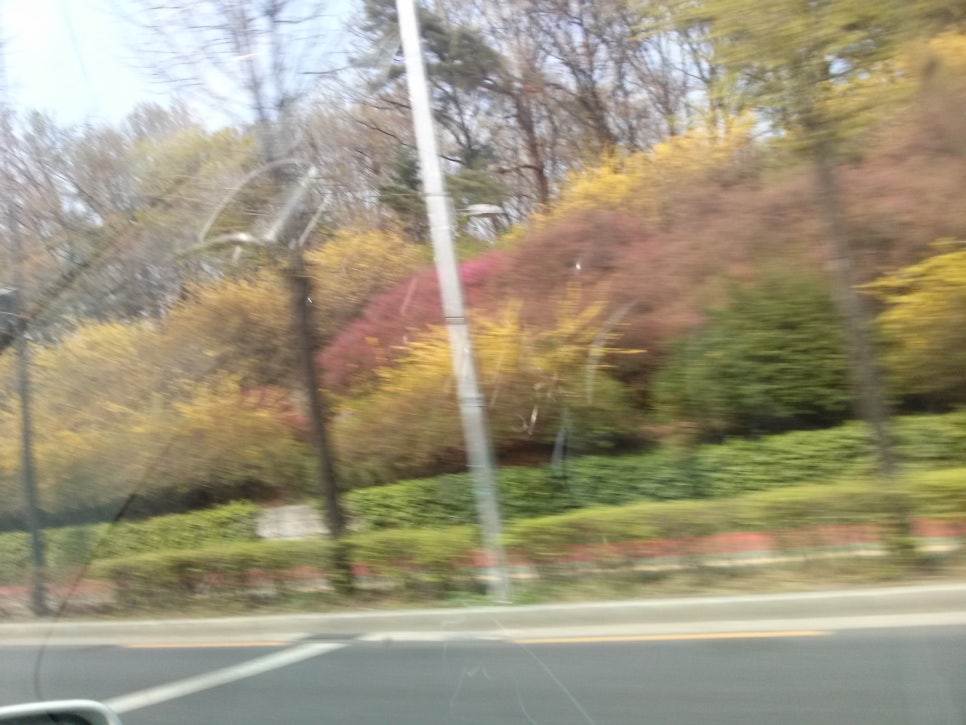 원이네수산 이미지