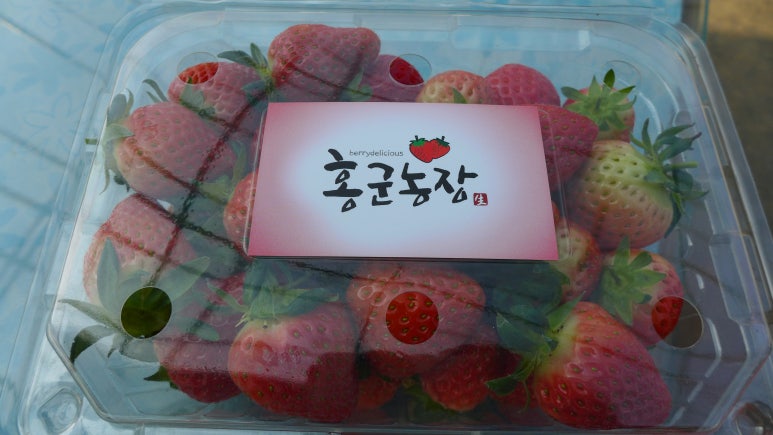 홍군농장 이미지