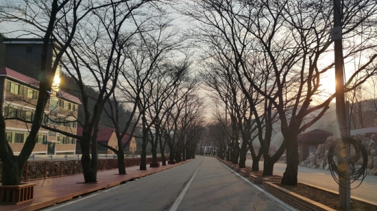 에덴농산물센타 이미지