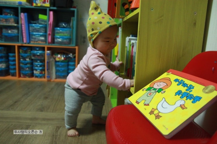 담해랑 이미지