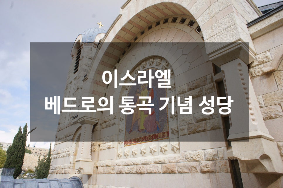 라이온렌트카 이미지