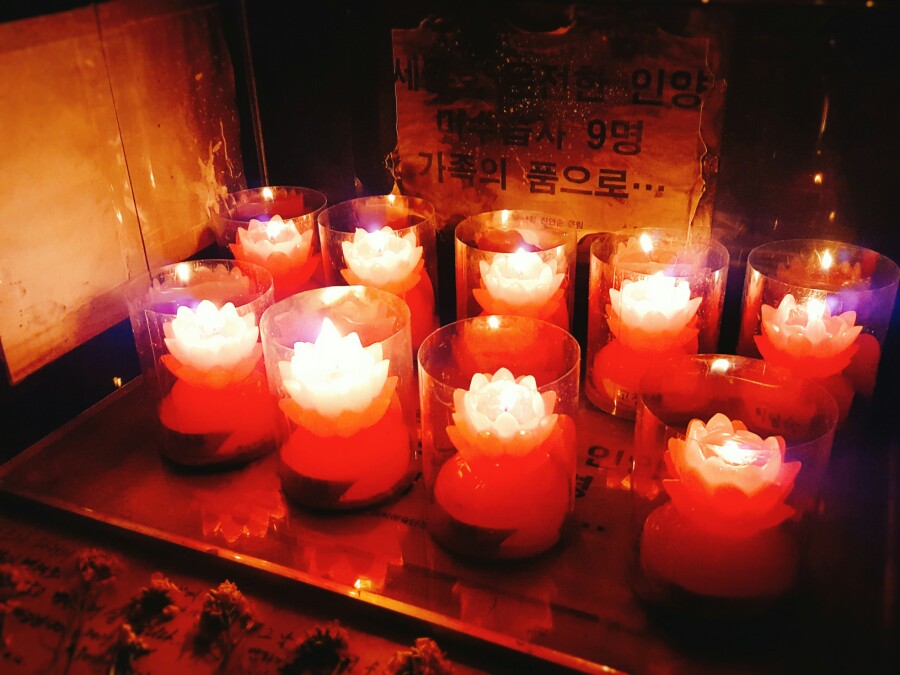팽목민박 이미지