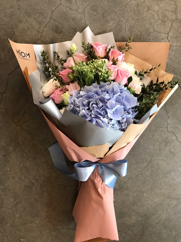 엘림존 이미지
