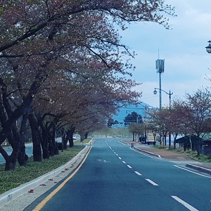 동국대학교의료원(경 이미지