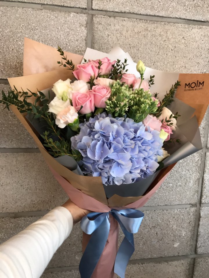 엘림존 이미지