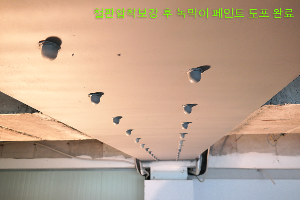 다인케미칼 이미지