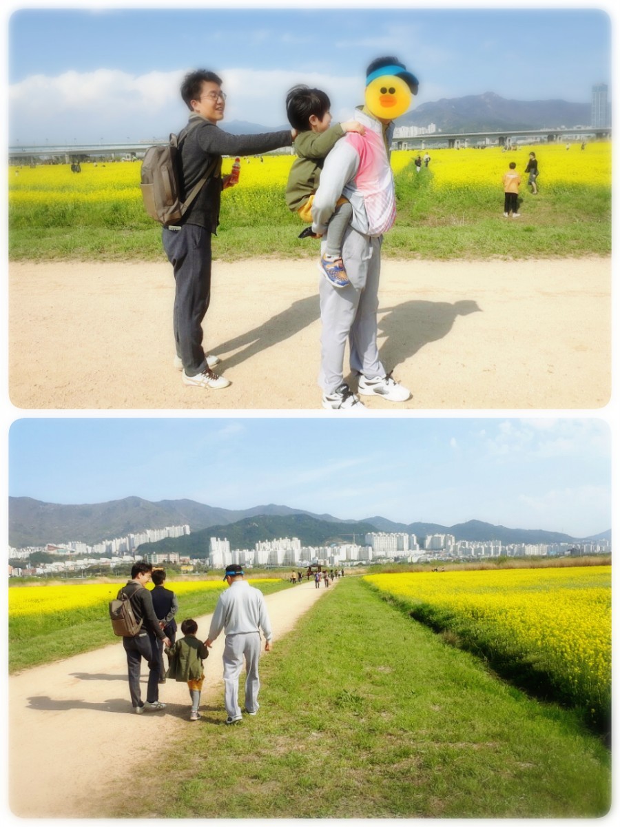유채공방 이미지