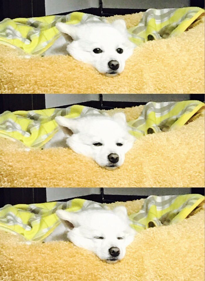 모니모니 이미지