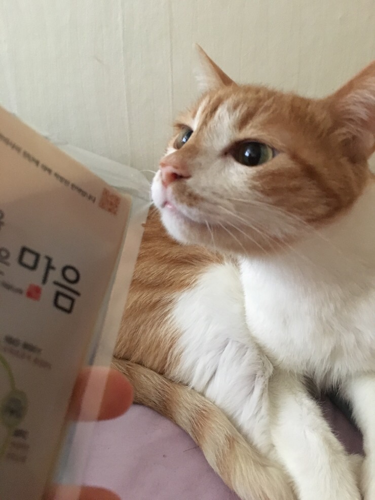 오대가한의원 이미지