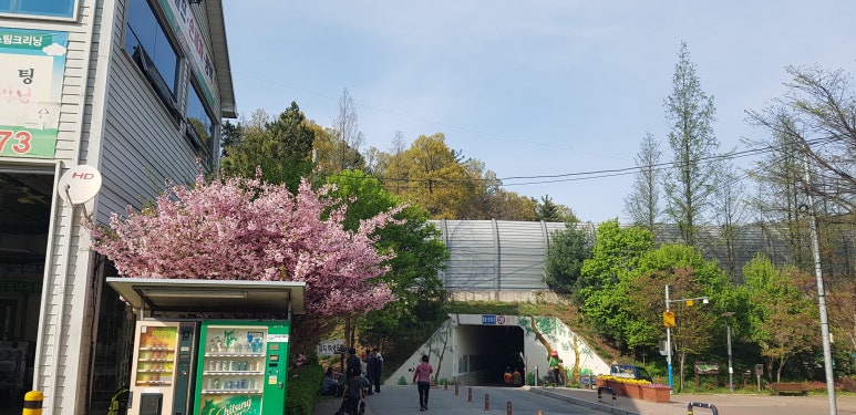 대원세차장 이미지