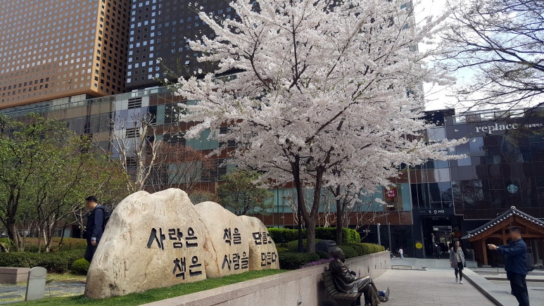 명동노래주점 이미지