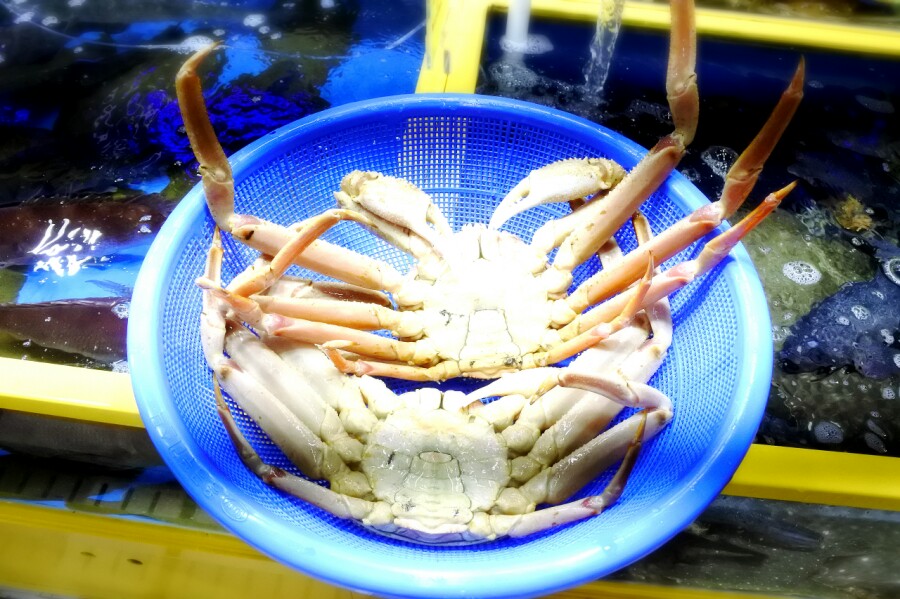 은하유통 이미지