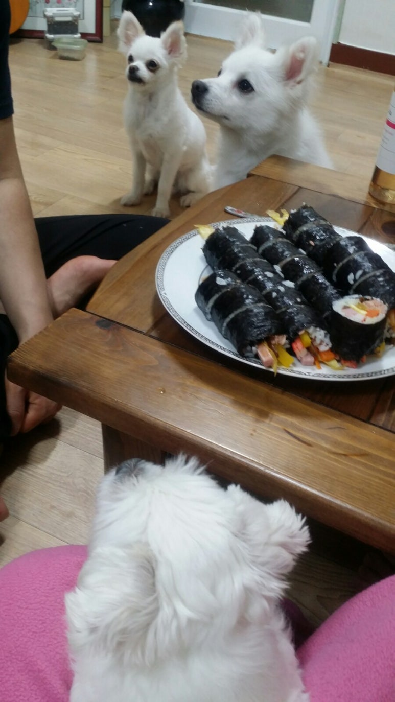 호동김밥 이미지