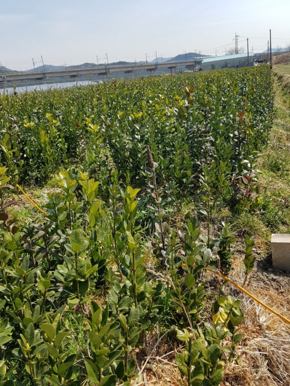 오성농원 이미지