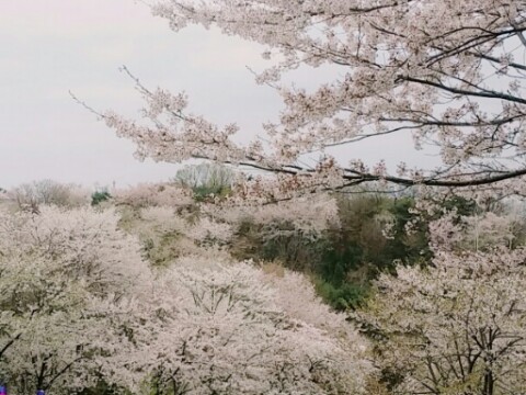 광장직업소개소 이미지