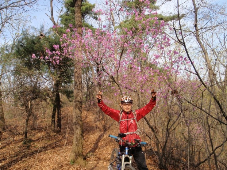 향수산 정상 이미지