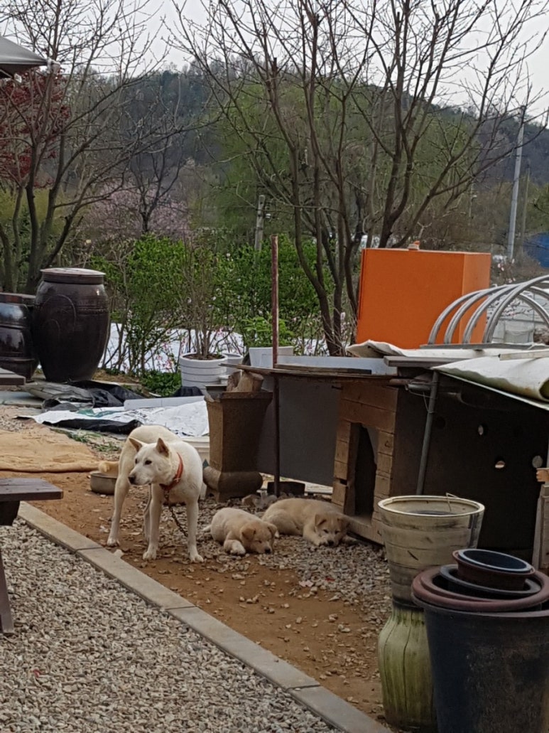 띵원 이미지