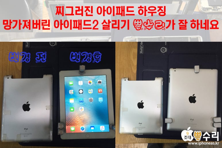 뽄수리 이미지