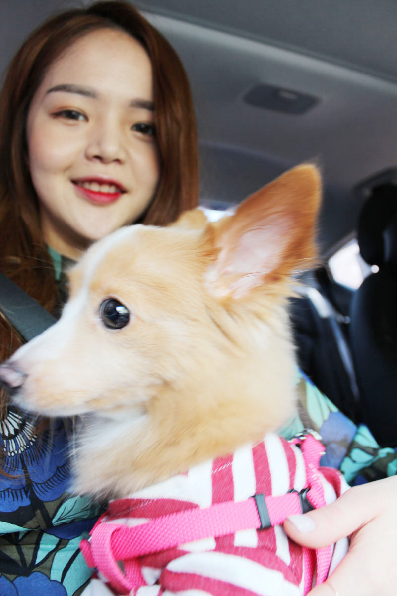 호도별 이미지