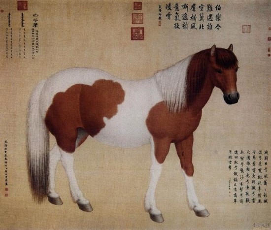마행 이미지