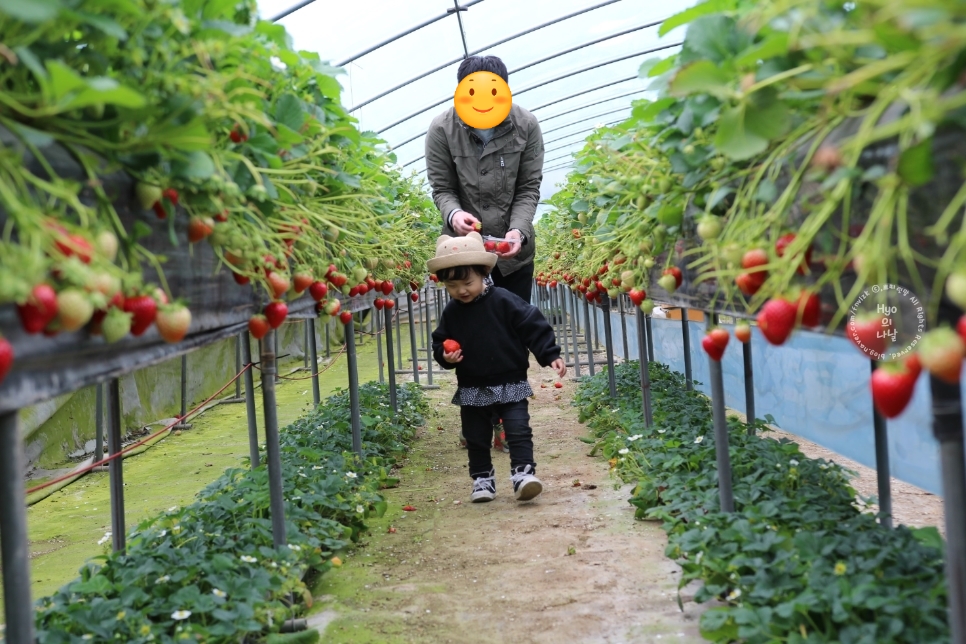 유영하우스 이미지