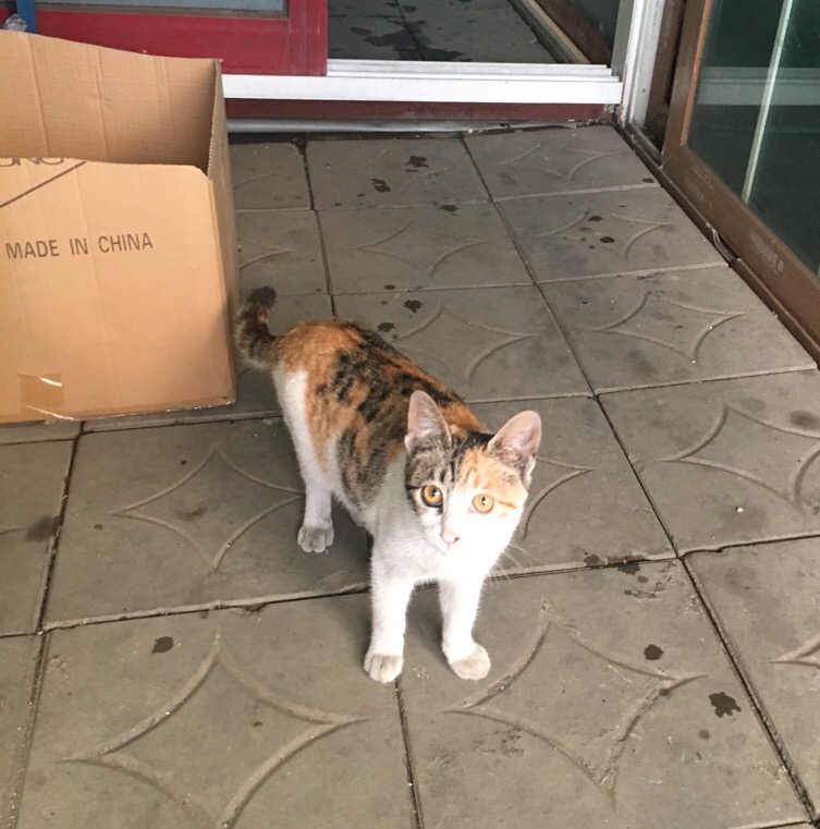 수정꽃마을 이미지