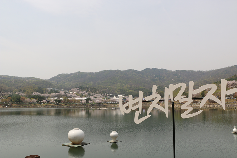 벚꽃에눈이내리면 이미지