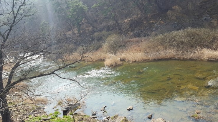 제천모드니애캠핑장 이미지